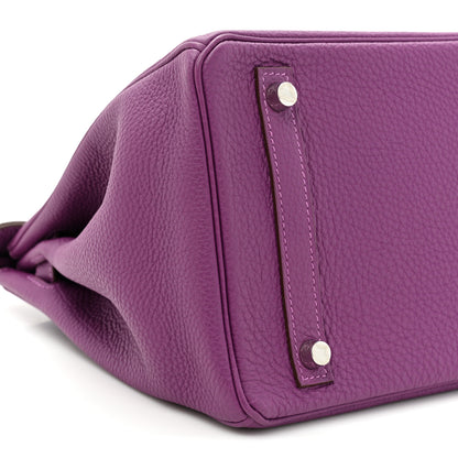 Hermes Togo BIRKIN 30 Anemone 9 of 11