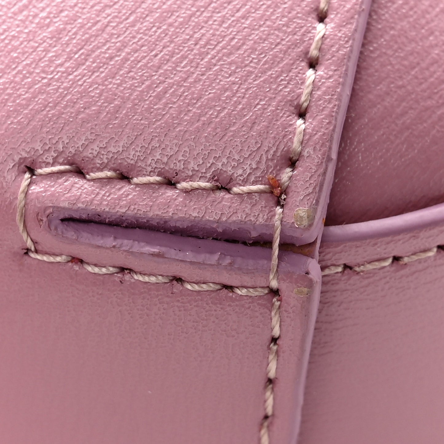 Calfskin Mini The Jeweled Hobo Antique Pink