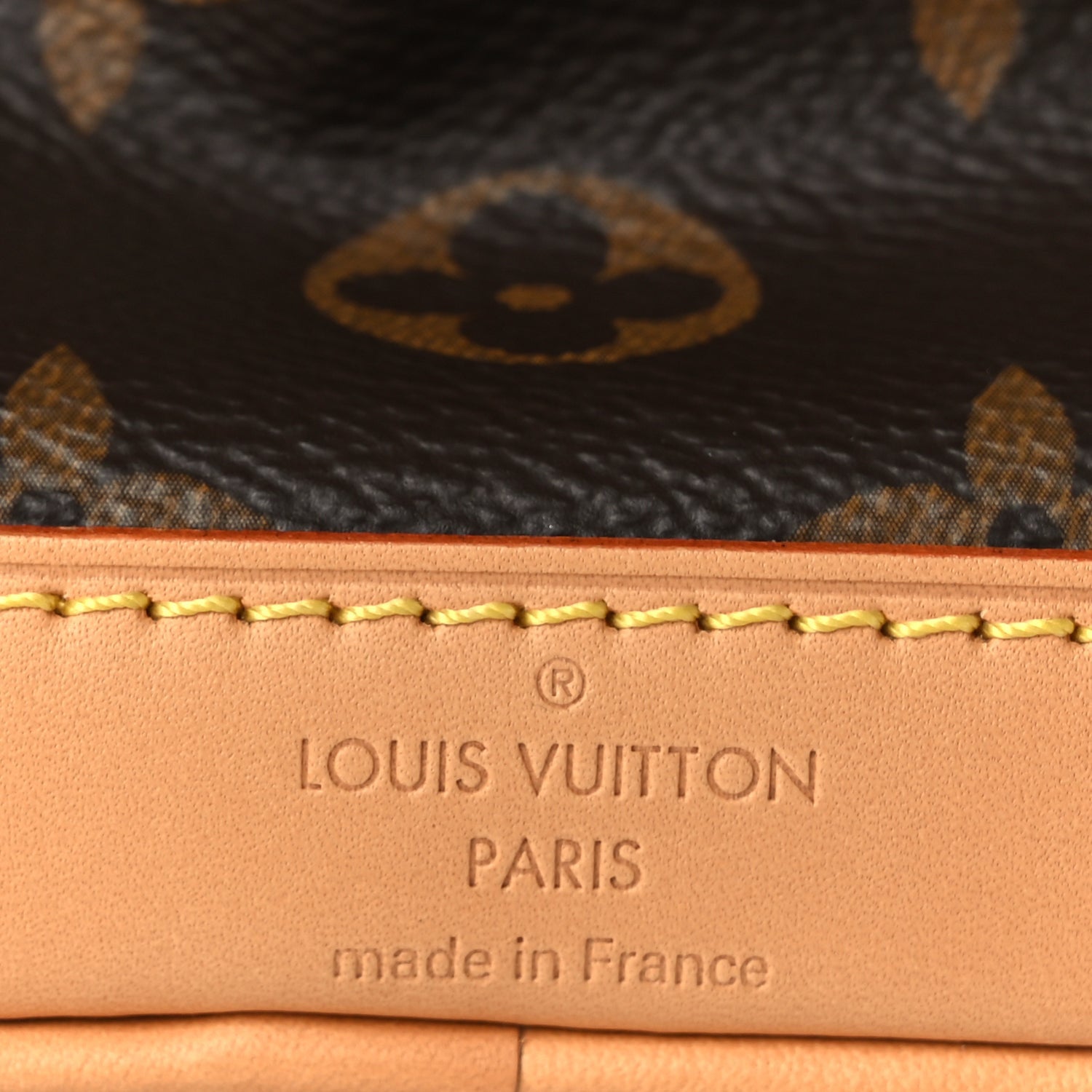 Louis Vuitton Monogram Nano Noe NV 14 of 17