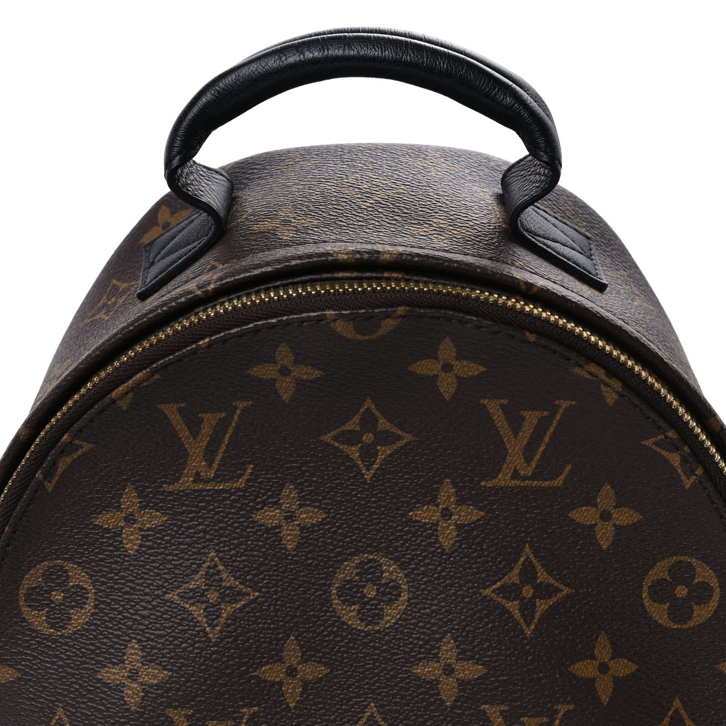 Monogram Palm Springs Backpack PM