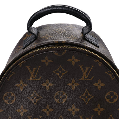 Louis Vuitton Monogram Palm Springs Backpack PM 4 of 7