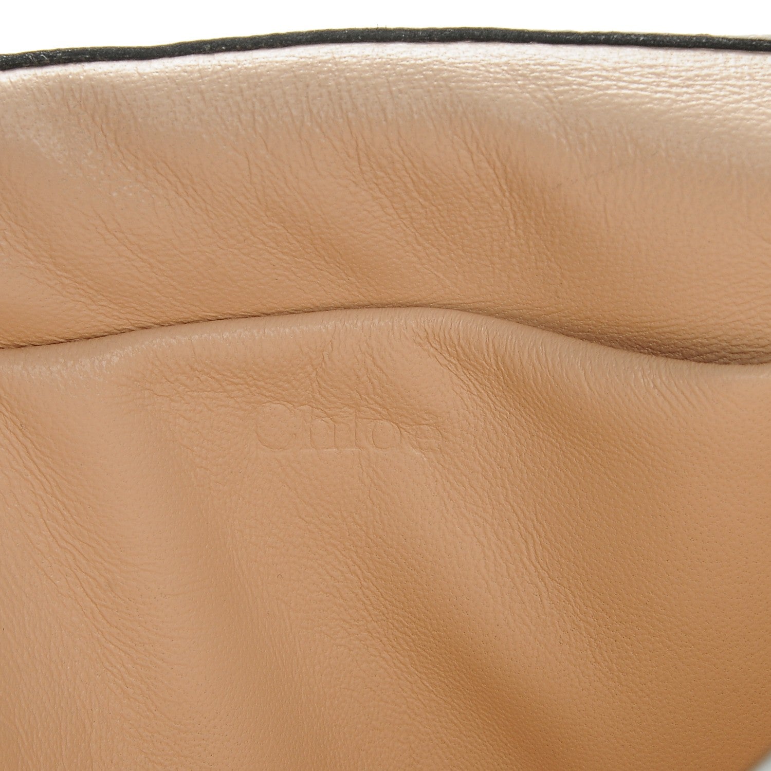 Chloe Goatskin Small Elsie Shoulder Bag Grimauve 5 of 8