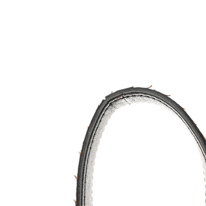 Celine Watersnake Teen Triomphe Brown 15 of 16