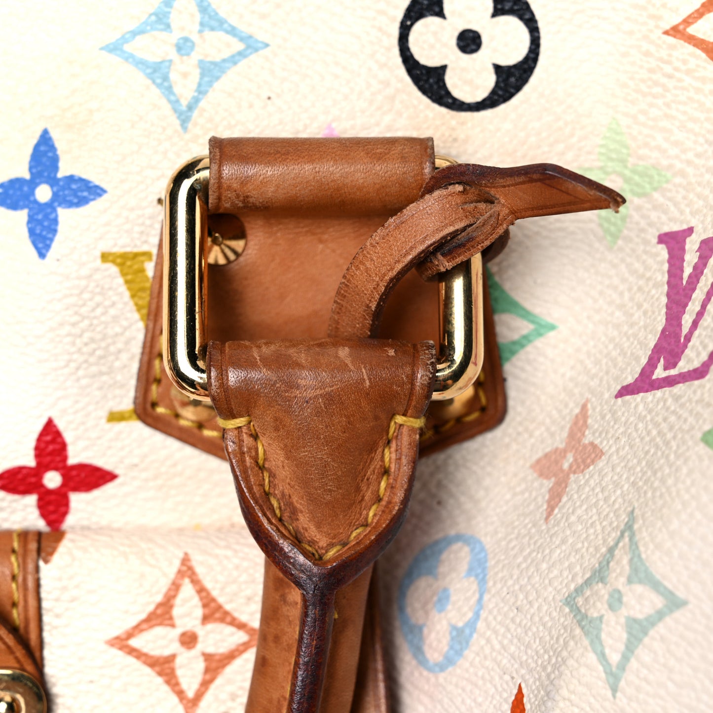 Monogram Multicolor Speedy 30 White