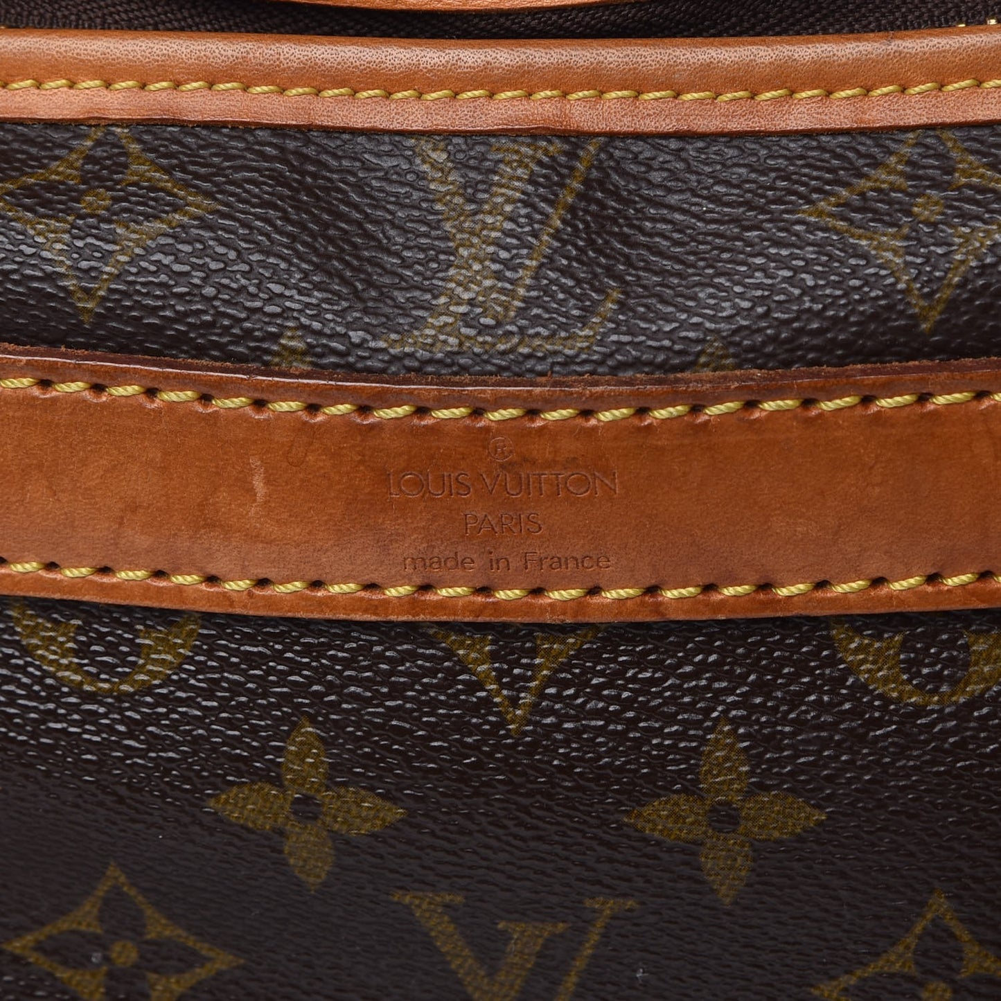 Monogram Sac Chien 40 Pet Carrier