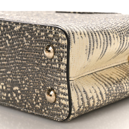 Louis Vuitton Lizard Capucines Mini Argento 9 of 9