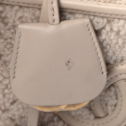 Chanel Shearling Lambskin Quilted Small CC Filigree Vanity Case Beige 10 of 10