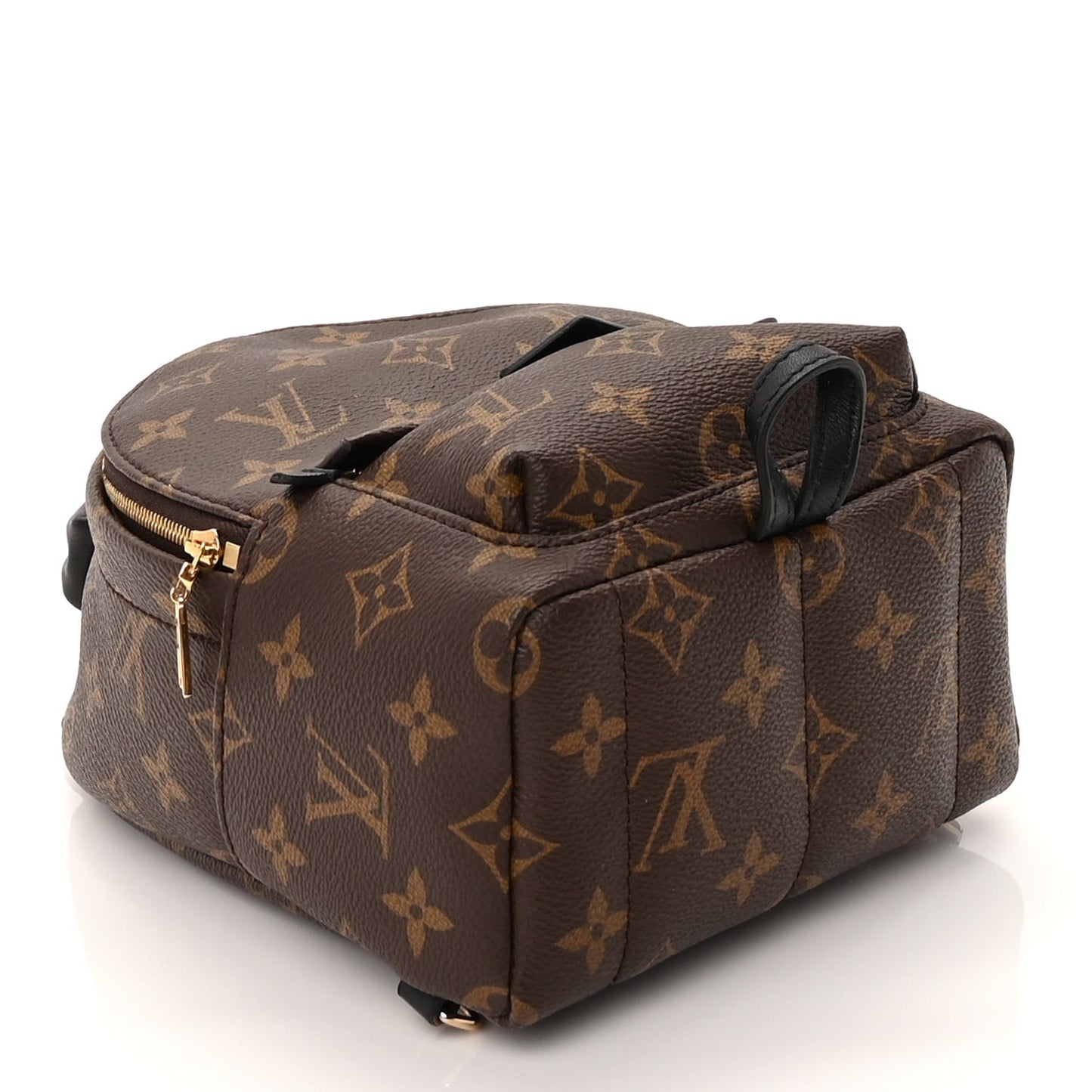 Monogram Palm Springs Backpack Mini Black
