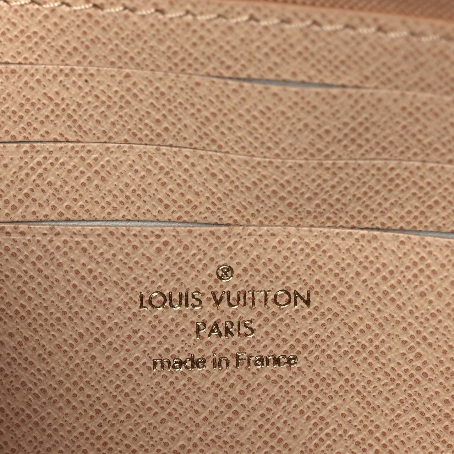 Monogram Dune Ivy Wallet On Chain