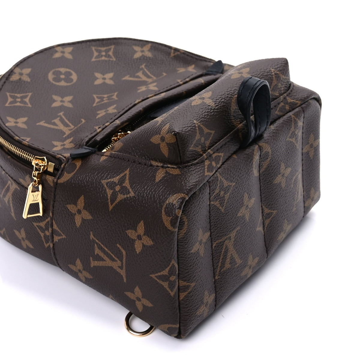 Monogram Palm Springs Backpack Mini