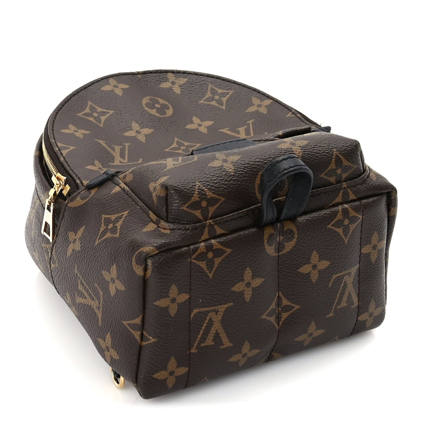 Monogram Palm Springs Backpack Mini Black