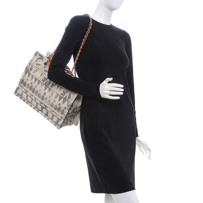 Chanel Canvas Small Iliad Shopping Tote Beige 2 of 12