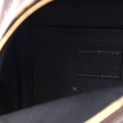 Louis Vuitton Monogram Palm Springs Backpack Mini 5 of 5