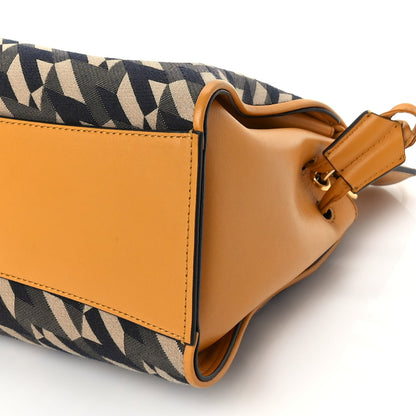 Mulberry Calfskin Canvas Print Small Iris Tote  Deep Amber 8 of 8