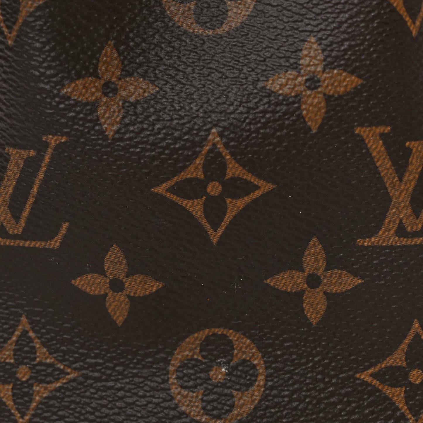 Monogram Nano Noe NV