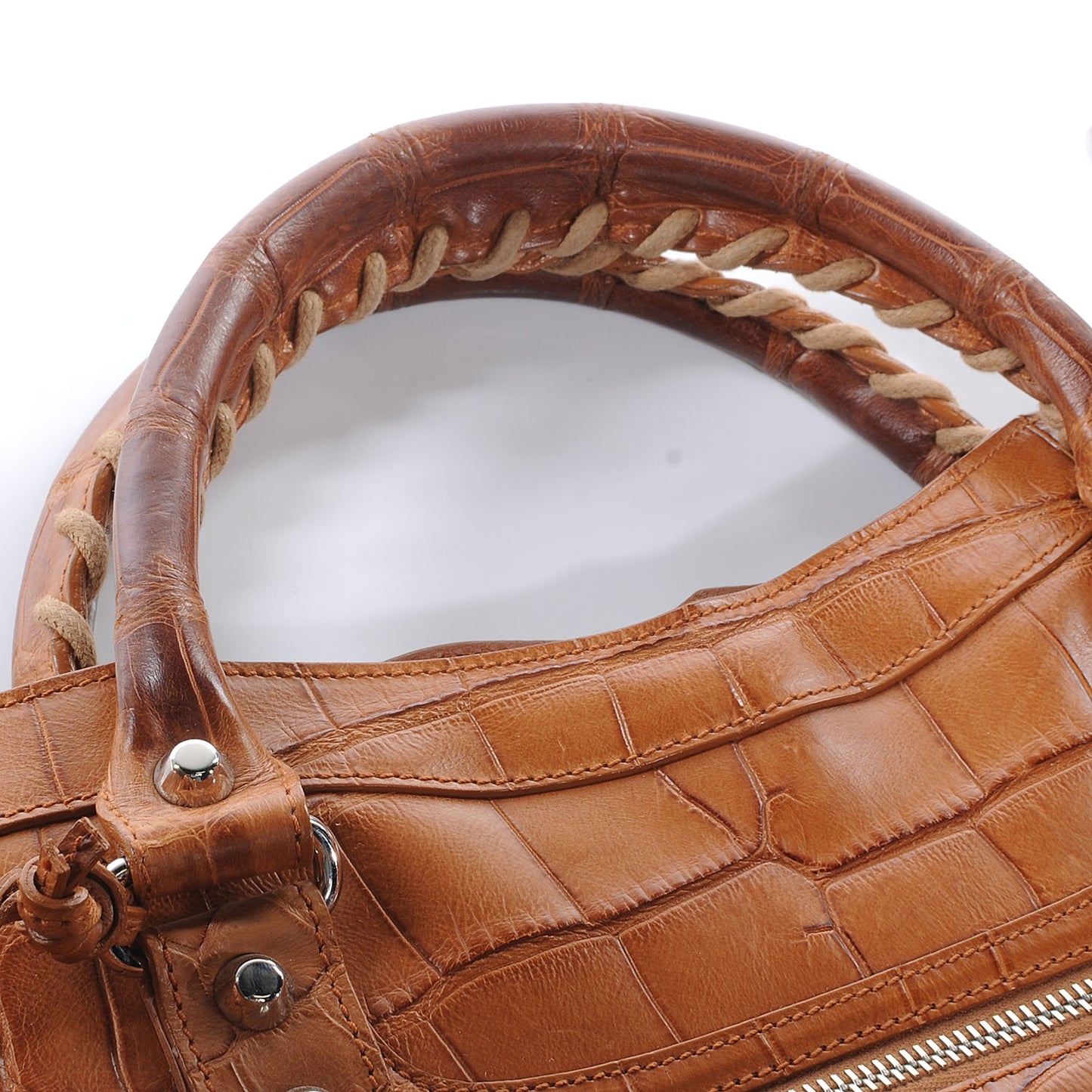 Crocodile City Camel