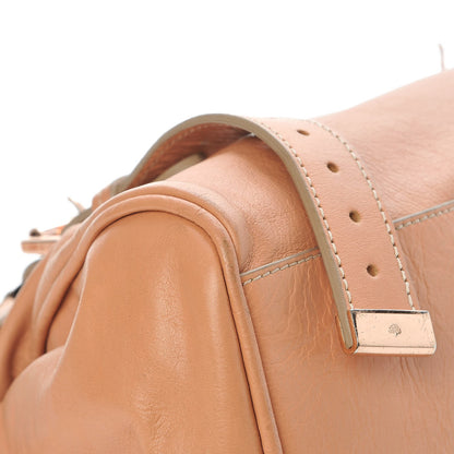 Mulberry Soft Buffalo Medium Alexa Plaster Pink 14 of 14