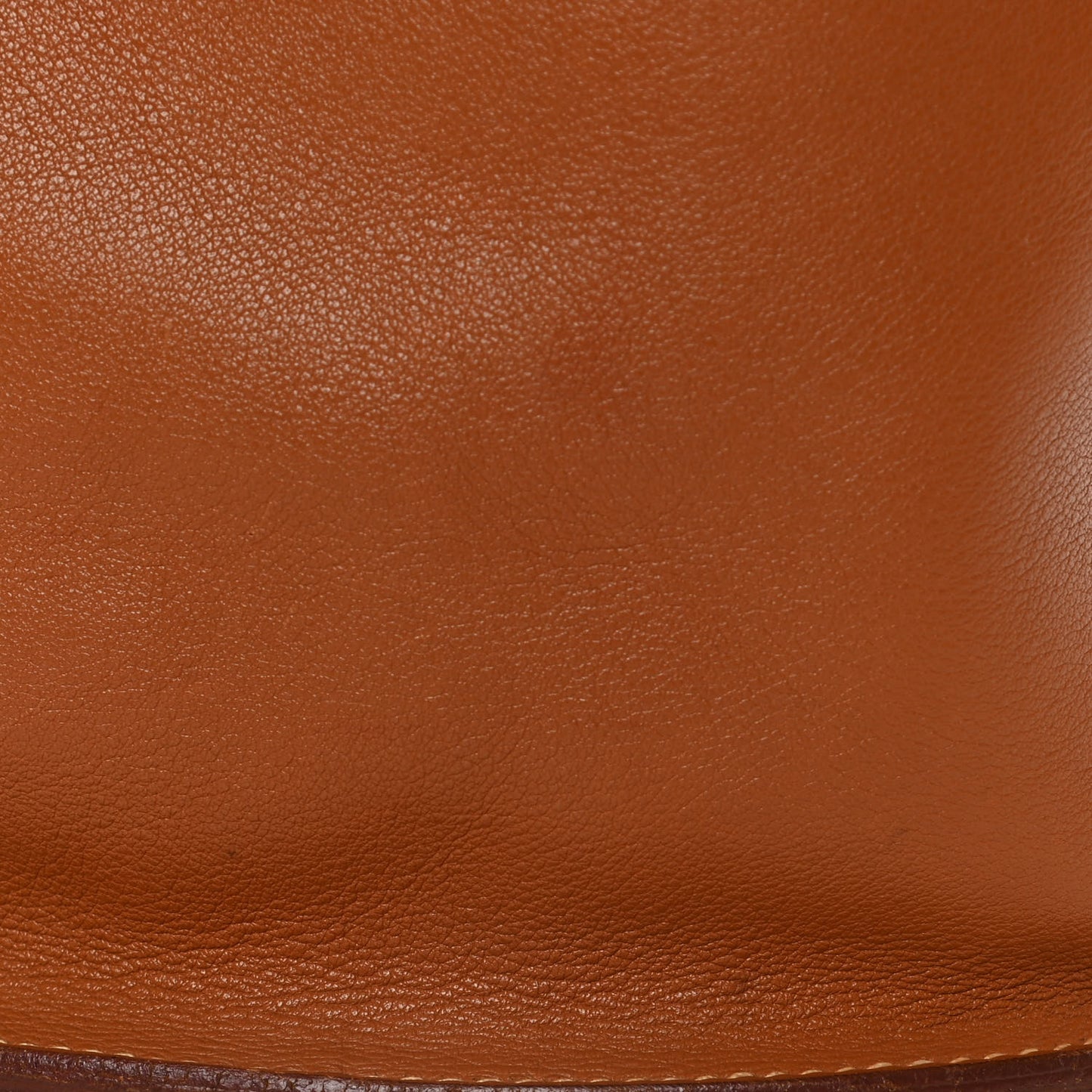 Swift Sherpa Backpack Gold