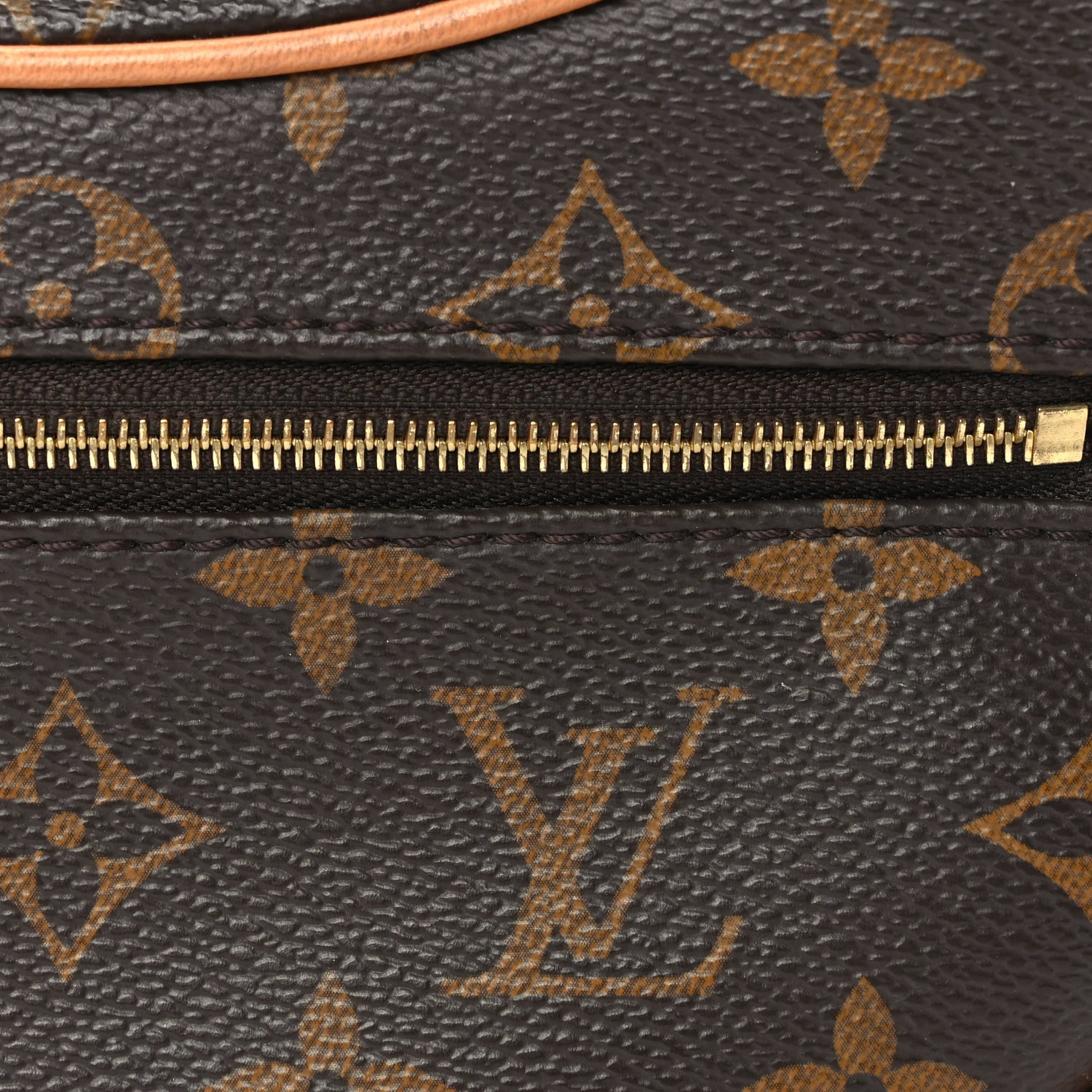 Louis Vuitton Monogram Loop 6 of 6
