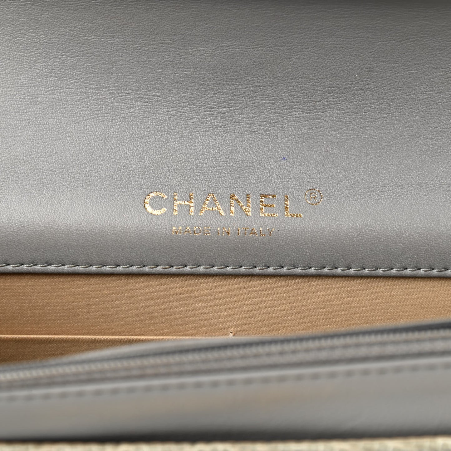 Lizard Golden Class Wallet on Chain WOC Grey