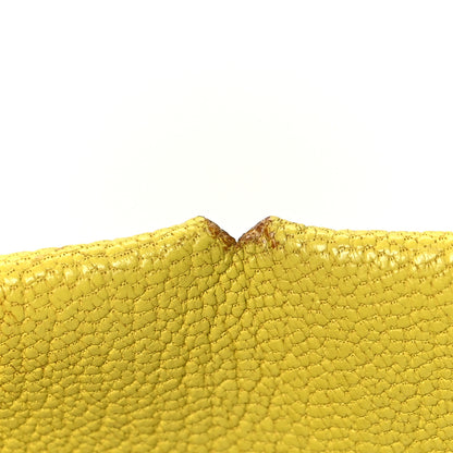 Hermes Chevre Mysore Calvi Card Case Lime 13 of 13