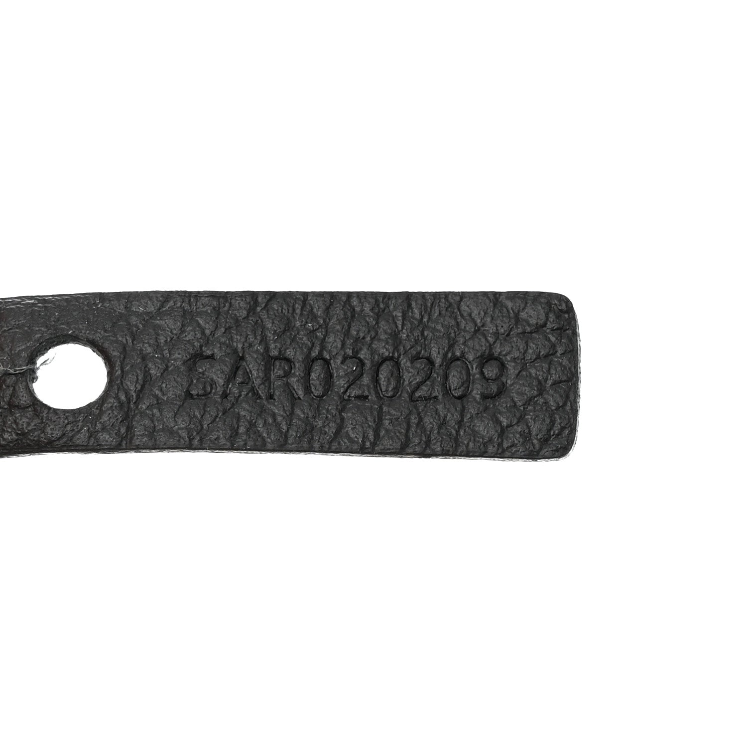 Goyard Goyardine Saint Louis PM Black 9 of 12