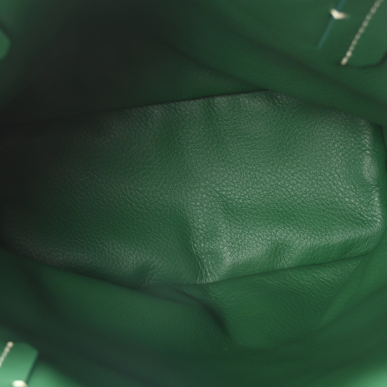 Goyard ine Reversible Mini Anjou Green 6 of 7