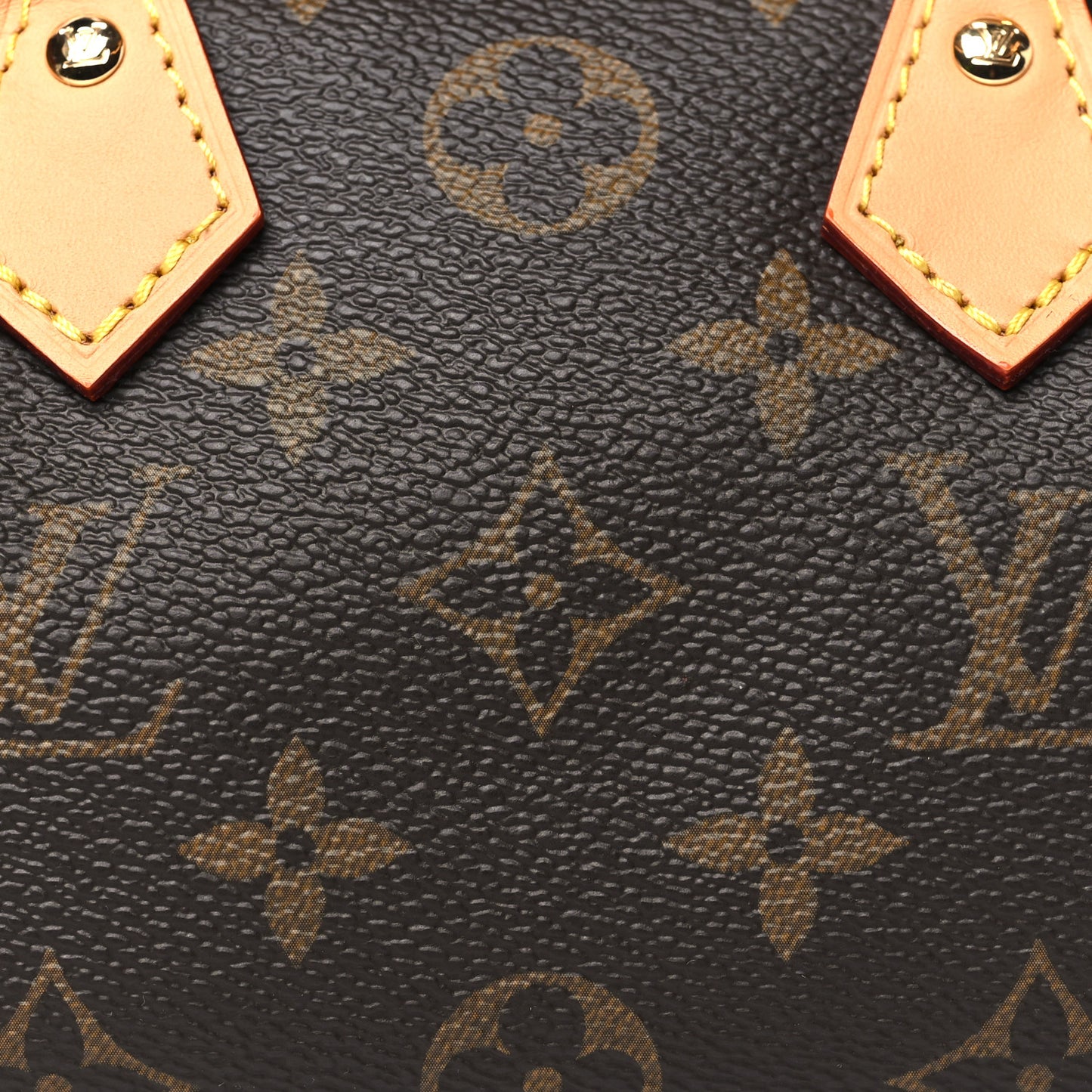 Monogram Nano Speedy Bandouliere