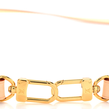 Louis Vuitton Vachetta Favorite Long Strap 5 of 5