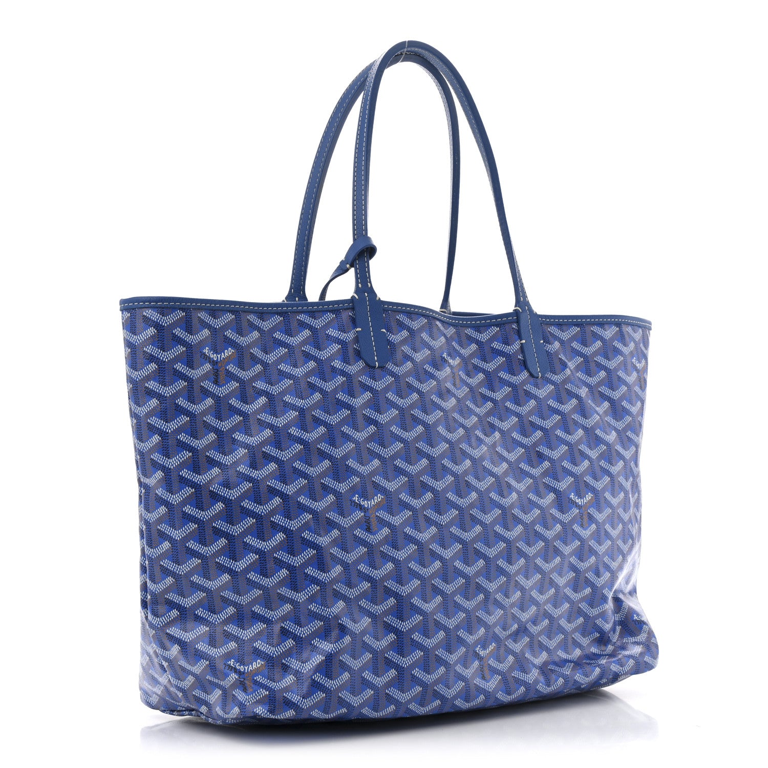 Goyard Goyardine Saint Louis PM Sky Blue 3 of 9