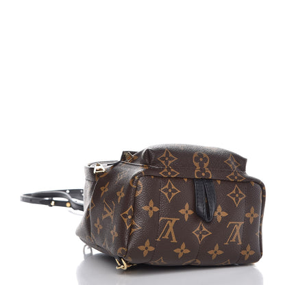 Louis Vuitton Monogram Palm Springs Backpack Mini 4 of 7