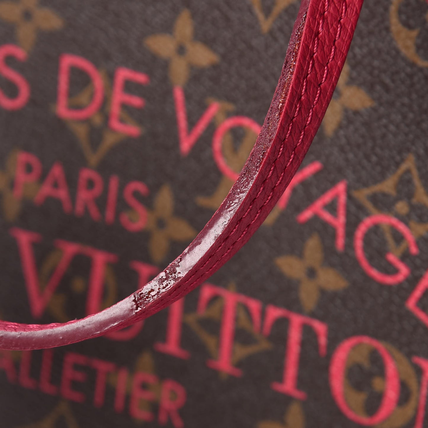 Monogram Articles de Voyage Ikat Neverfull MM Rose Indien