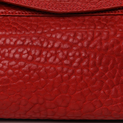 Mulberry Shrunken Calfskin Medium Alexa Poppy Red 6 of 8