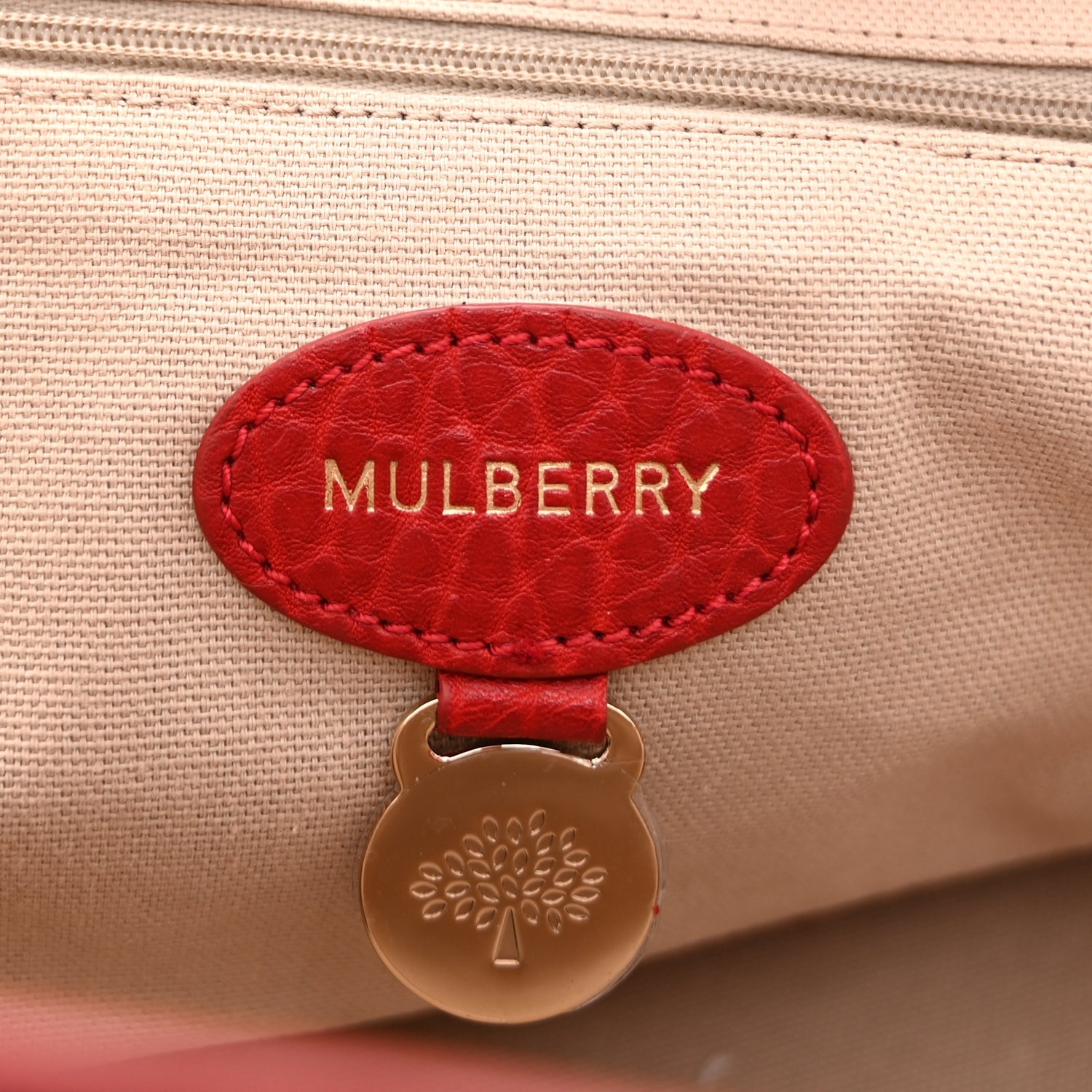 Mulberry Shrunken Calfskin Medium Alexa Poppy Red 5 of 8