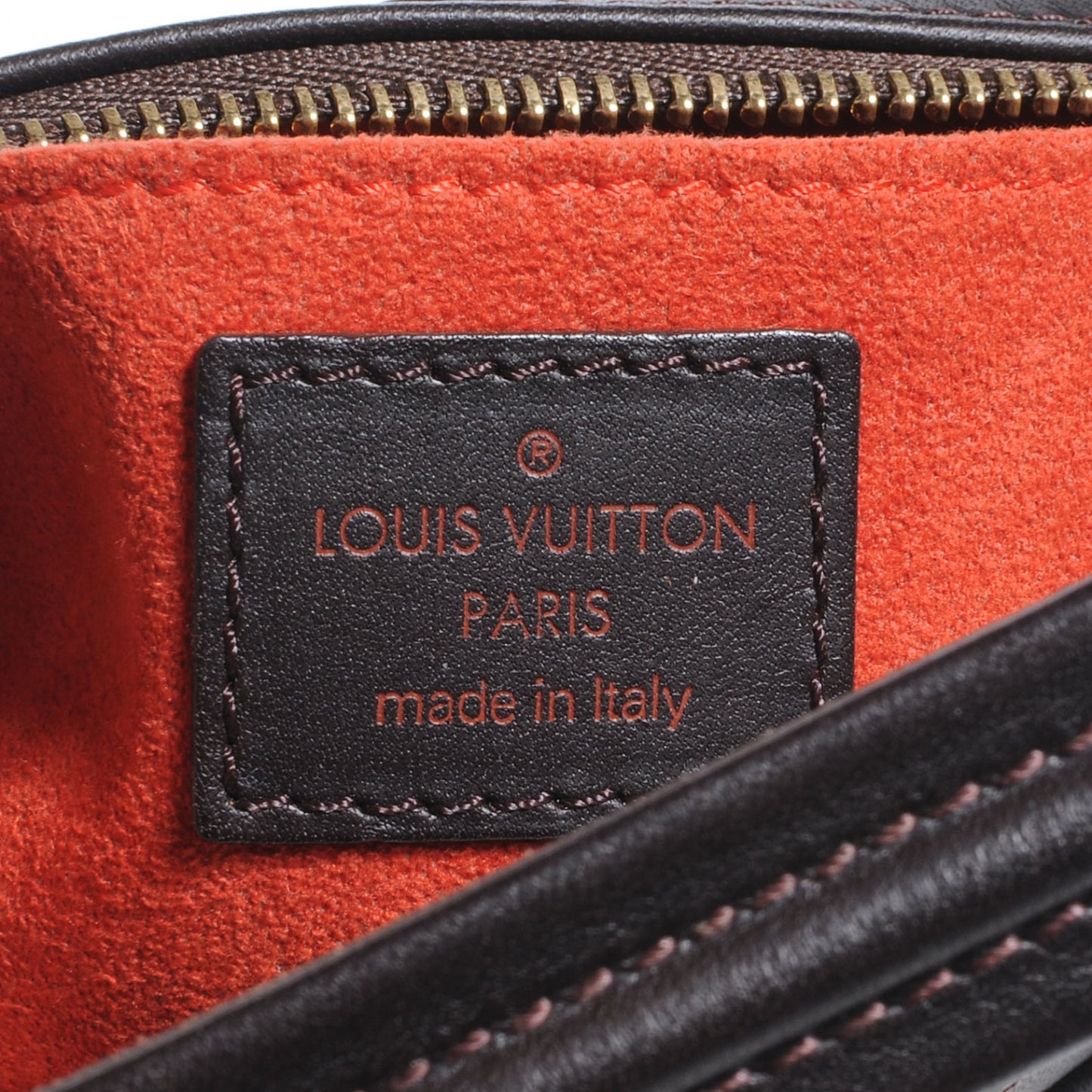 Damier Sauvage Tigre