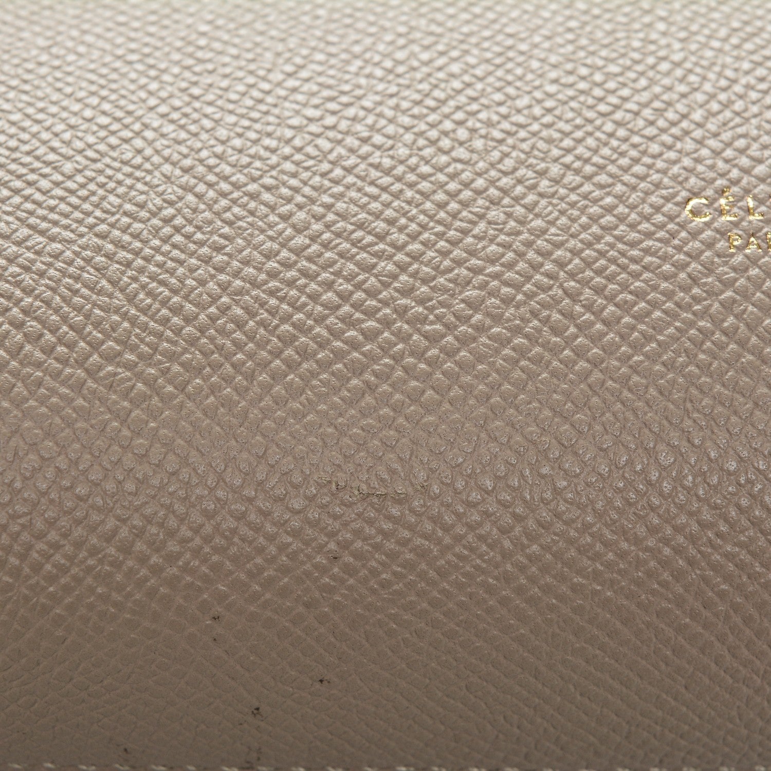 Celine Grained Calfskin Mini Belt Bag Light Taupe 10 of 14