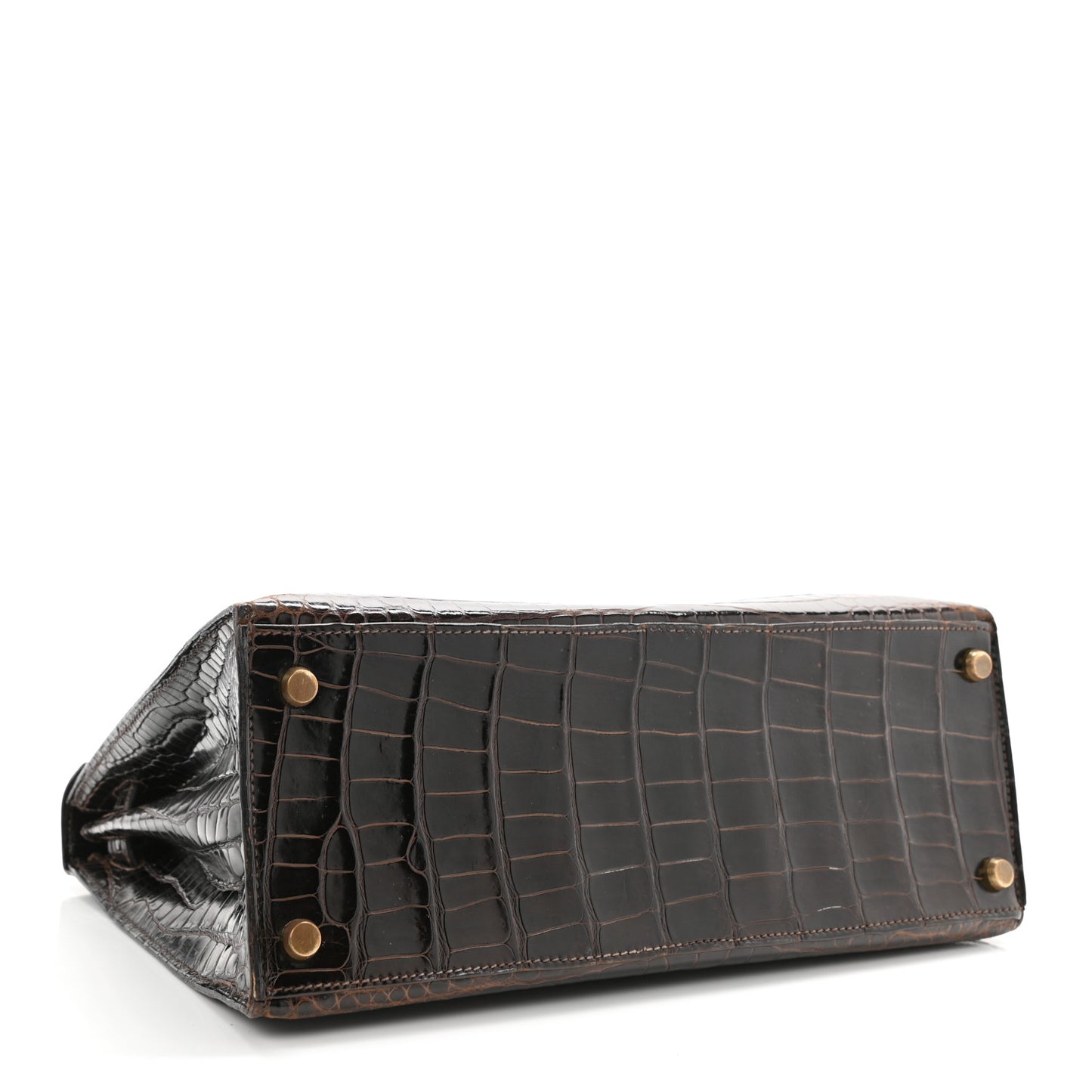Shiny Porosus Crocodile Kelly Sellier 28