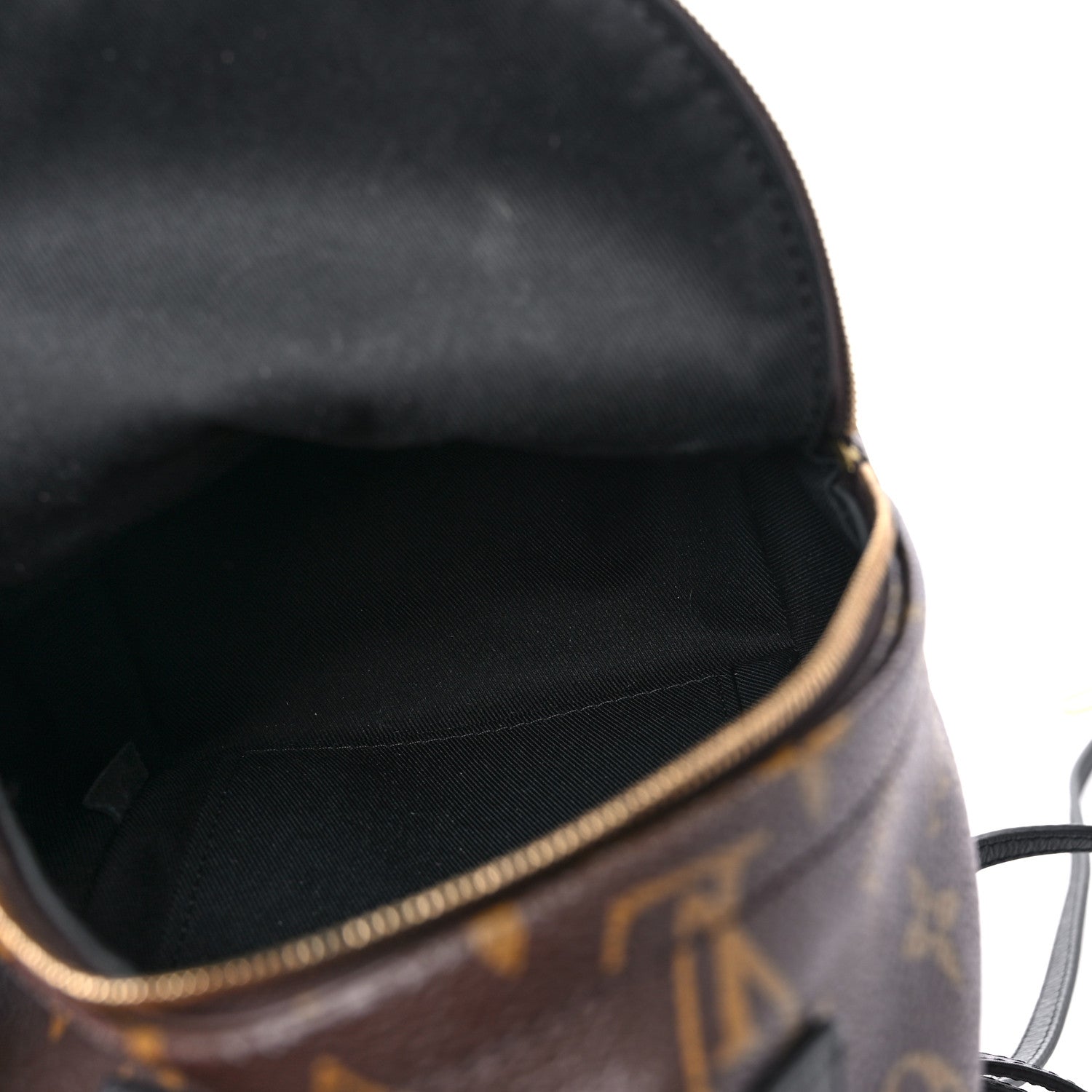 Louis Vuitton Monogram Palm Springs Backpack Mini 5 of 12