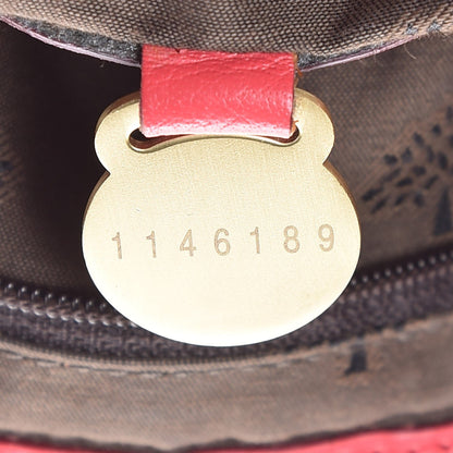 Mulberry Soft Buffalo Medium Alexa Watermelon 6 of 21