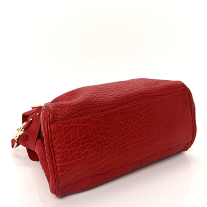 Mulberry Shrunken Calfskin Medium Alexa Poppy Red 3 of 8