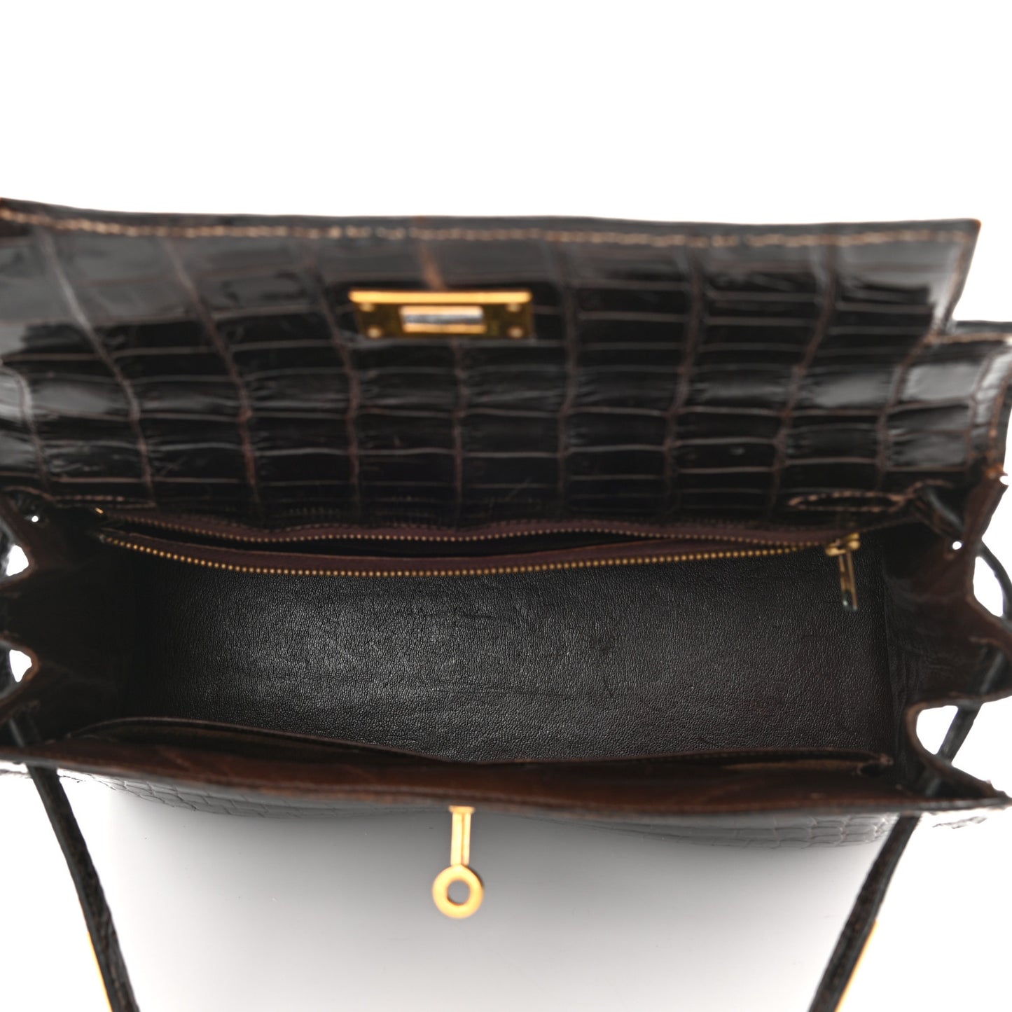 Shiny Porosus Crocodile Kelly Sellier 28