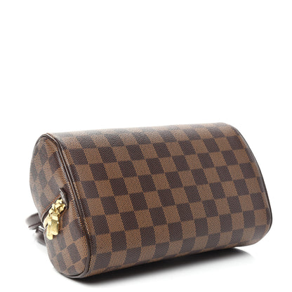 Louis Vuitton Damier Ebene Ribera Mini 4 of 9