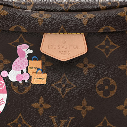 Louis Vuitton Monogram My LV World Tour Bumbag 8 of 10