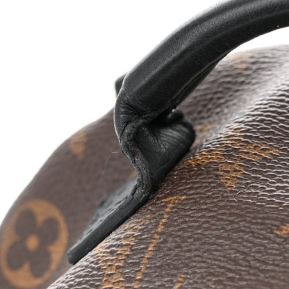 Louis Vuitton Monogram Palm Springs Backpack Mini 14 of 14