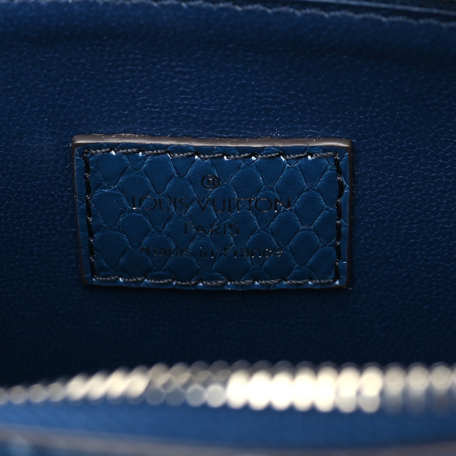 Louis Vuitton Snakeskin Monogram Coussin PM  Blue 5 of 8