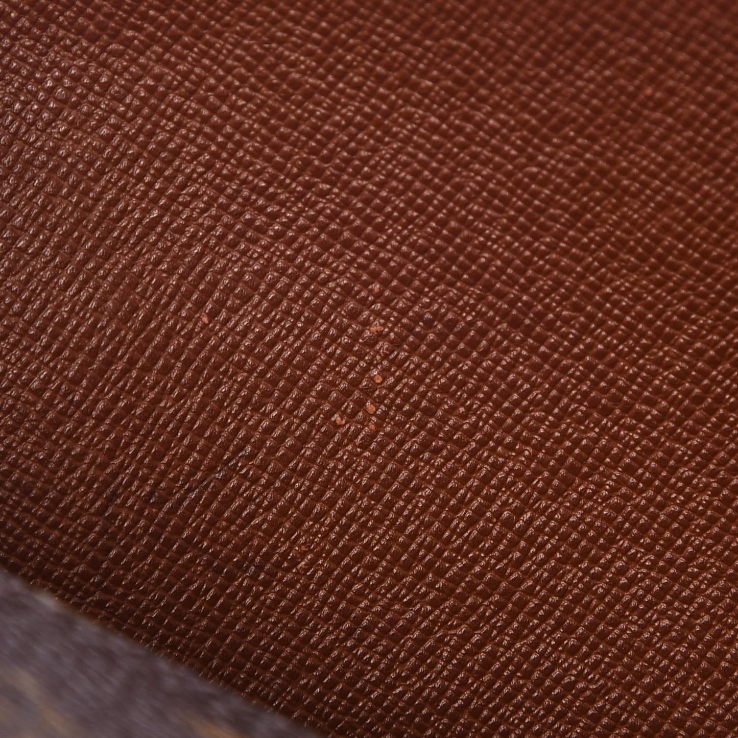 Monogram Papillon 30