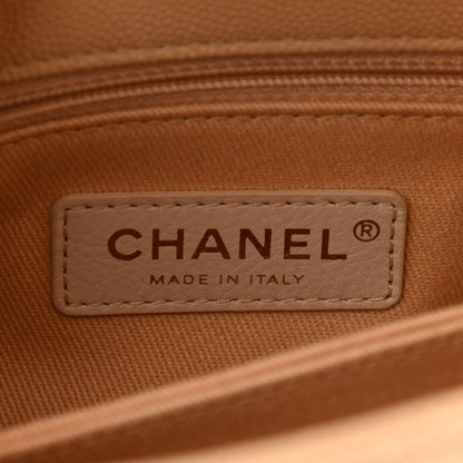 Chanel Caviar Lizard Embossed Quilted Mini Coco Handle Flap Beige 5 of 9