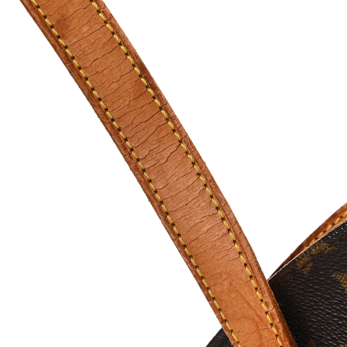 Monogram Ellipse GM Shopping Bag