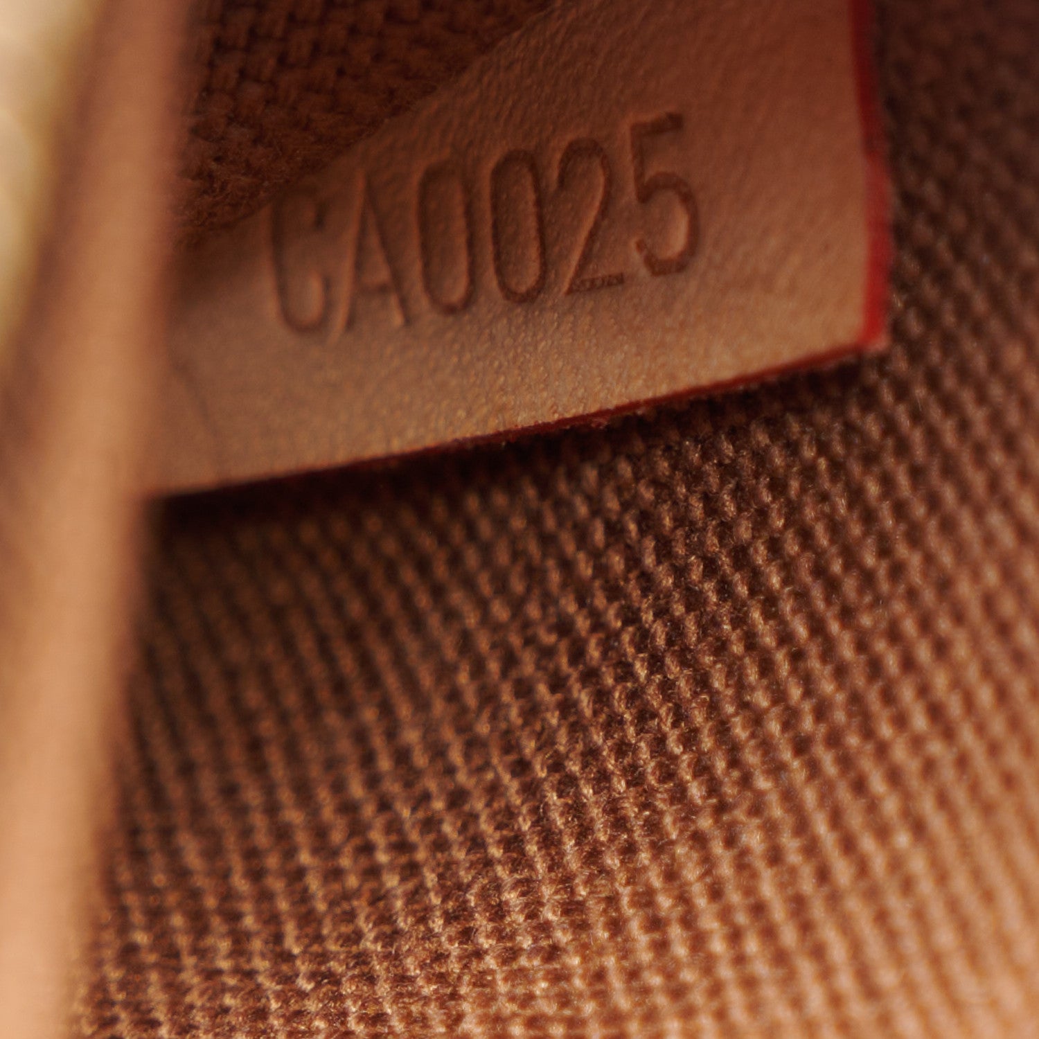 Louis Vuitton Monogram Ribera Mini 7 of 10