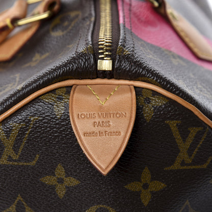 Louis Vuitton Monogram Speedy 30 V Grenade 8 of 9